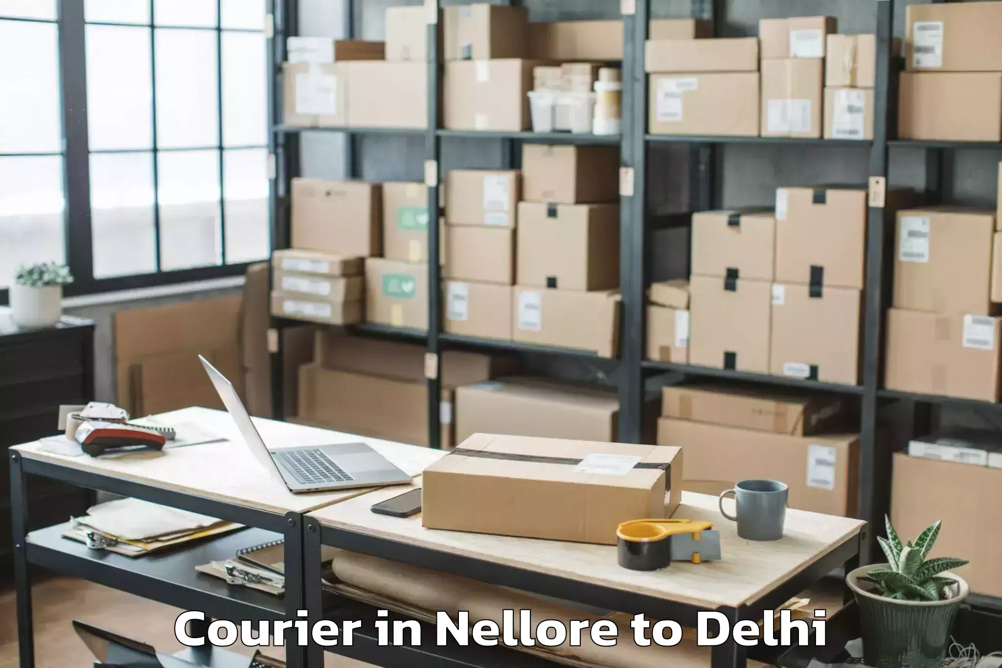 Professional Nellore to Naraina Industrial Estate Courier